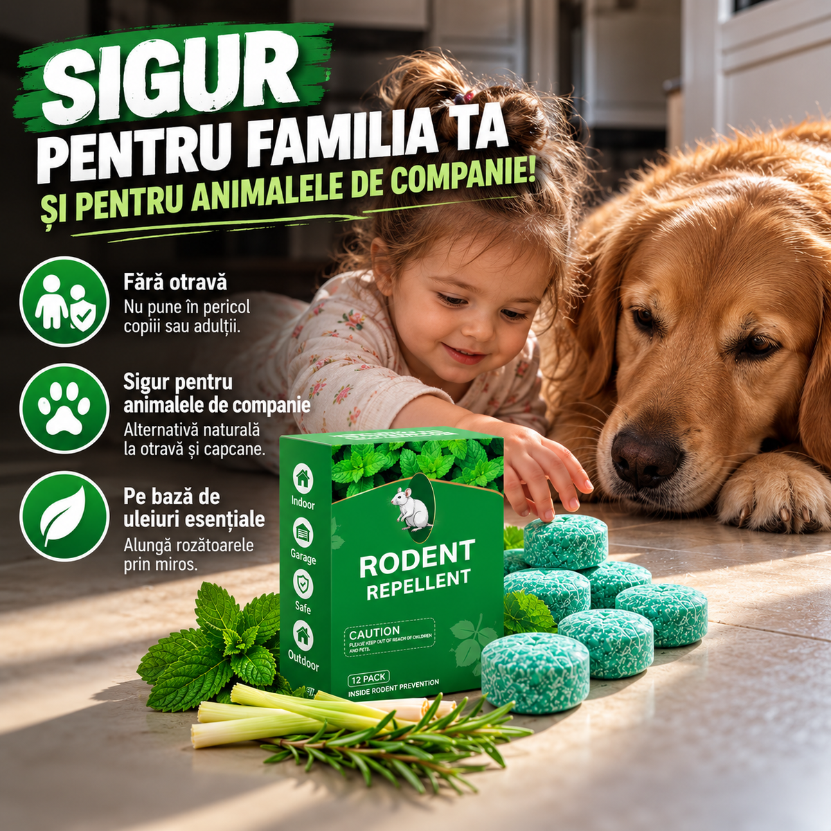 RoDent™ – Bile Anti-Șoareci și Șobolani