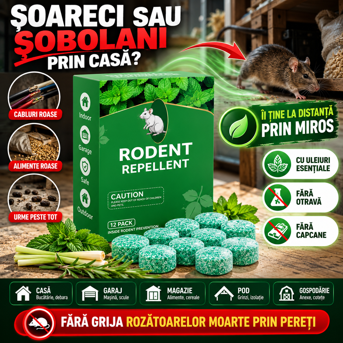 RoDent™ – Bile Anti-Șoareci și Șobolani